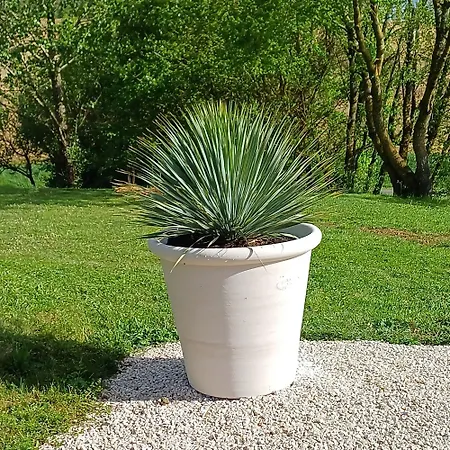 Holiday home Clos Baroanni - Terra *