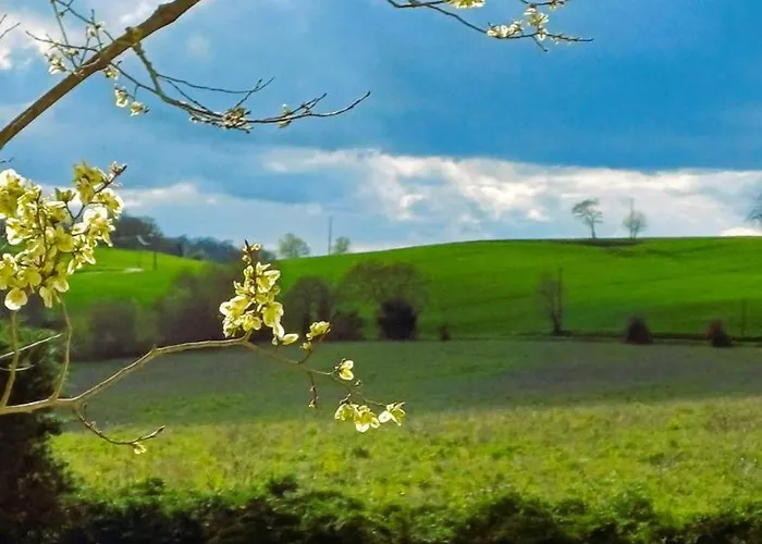 Clos Baroanni - Terra 別荘